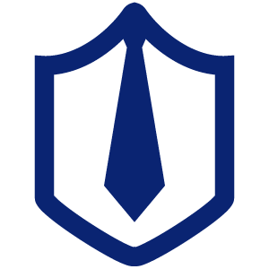 Clinical safety and security icon